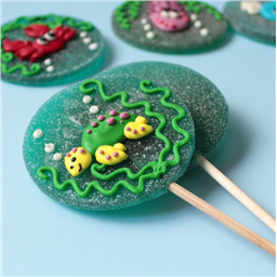 Диск Синий Океан, 1шт