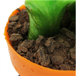 Карамель Герберы в горшке, Гигант, 1 шт, 450gr