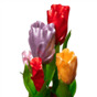 Карамель Тюльпаны в горшке, Гигант, 1 шт, 450gr