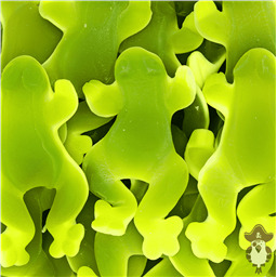 Лягушка гигантская, 2 шт,76 гр