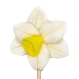 Нарцис (Чупа-чупс), 1шт