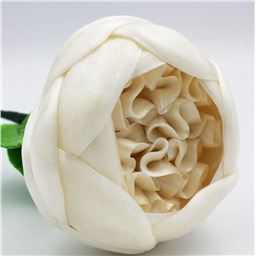 Гигантский Пион, 1 шт, 330 gr 