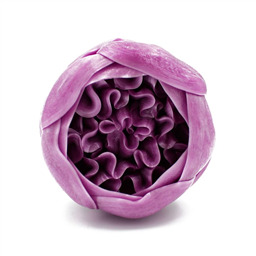 Гигантский Пион, 1 шт, 330 gr 