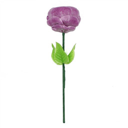 Гигантский Пион, 1 шт, 330 gr 