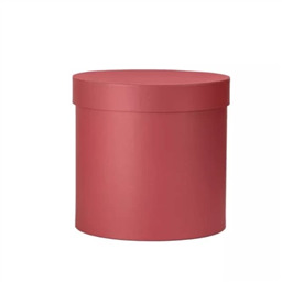 Тубус Красный (max 2kg)